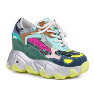 Dragon Fruit 03 - Multi